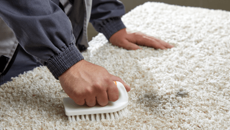 Professional Rug Cleaning Bundoora